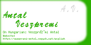 antal veszpremi business card